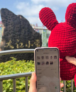 江津市石门镇中心幼儿园阅读区