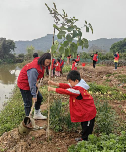 棠下镇虎岭小学阅读区