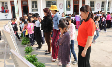 河南省洛阳市偃师市城关镇新新小学阅读区