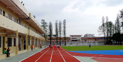 礼乐礼东小学阅读区