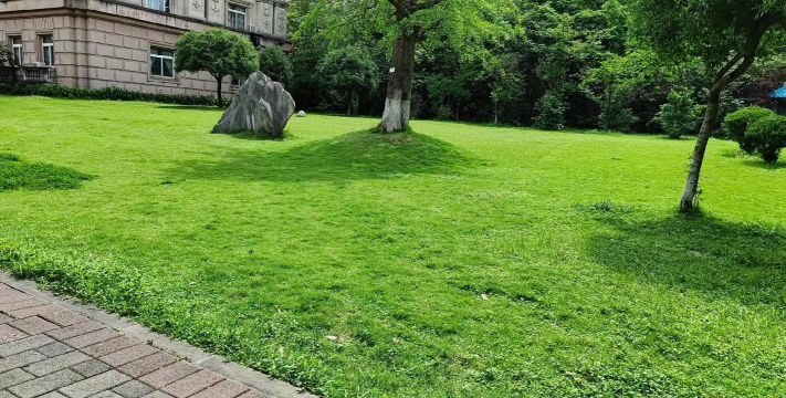 西南大学阅读区