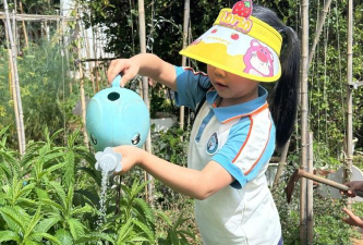 和林镇茂林村幼儿园阅读区