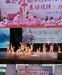 北京艺舞晶灵文化艺术培训有限公司阅读区