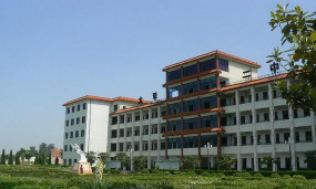 枣阳市太平镇中心小学阅读区