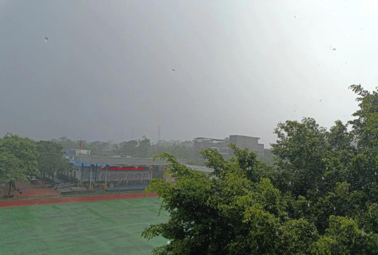 龙泉中心小学阅读区