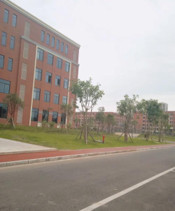 庆阳卫生学校阅读区