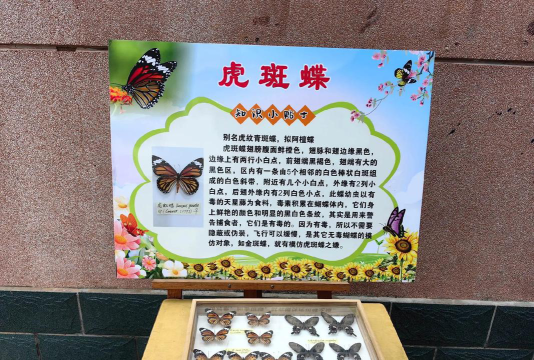 马口小学阅读区