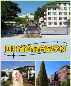 四川省食品药品学校阅读区