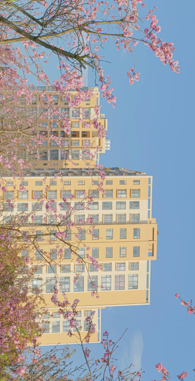 曲靖师范学院阅读区