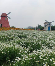 阿克苏市雪恋花艺术培训有限责任公司阅读区