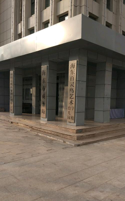青海百灵鸟艺术培训学校有限公司阅读区