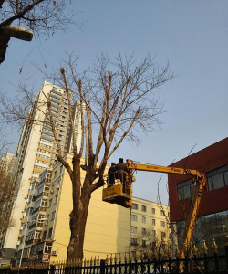 哈尔滨市南岗区勤明文化教育培训学校有限公司阅读区