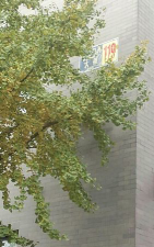 余干县方亮艺术培训中心有限公司德胜大街教学点阅读区