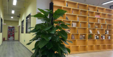 哈尔滨市南岗区品皓教育培训学校有限公司第一分公司阅读区