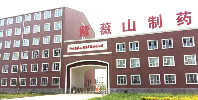 保定予馨艺术培训学校有限责任公司