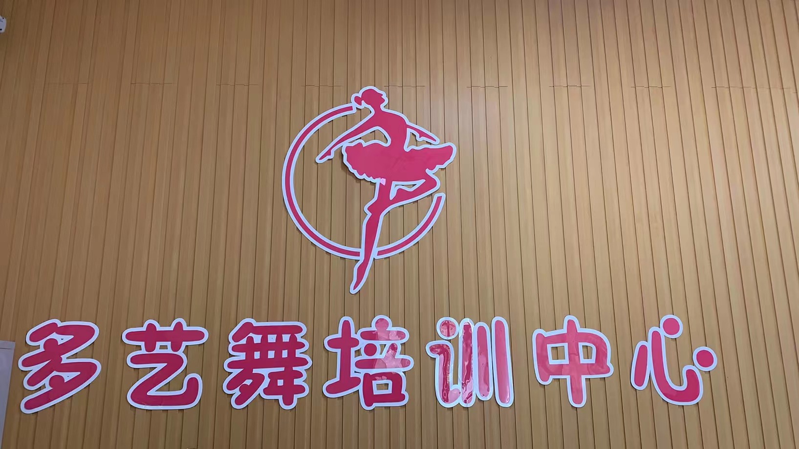 海口多艺舞艺术培训中心有限公司