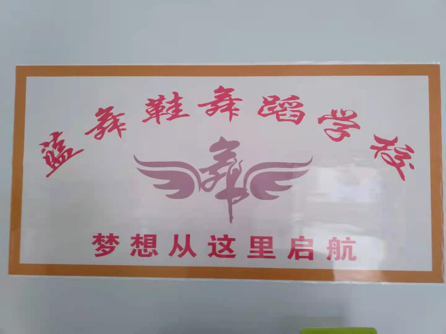桃源县蓝舞鞋艺术培