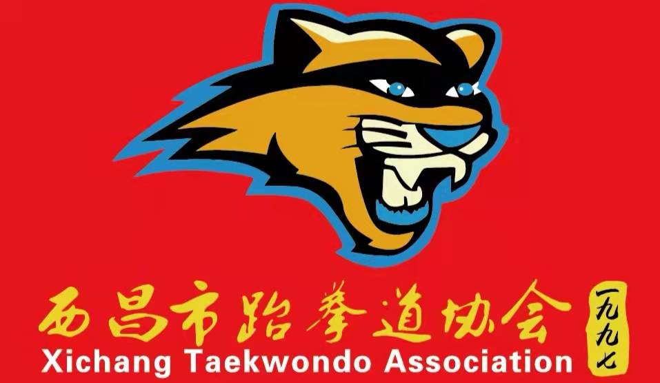宁南县旭日跆拳道馆