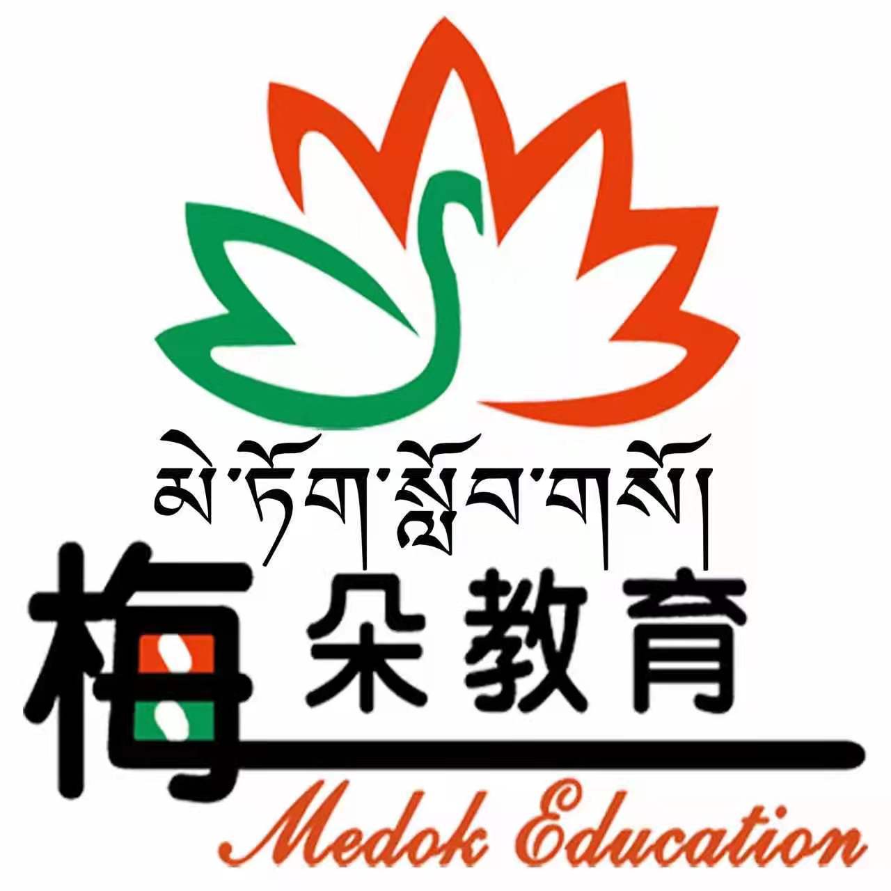 贵德梅朵教育文化艺