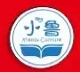 武汉东湖新技术开发区小鲁艺术培训学校有限公司
