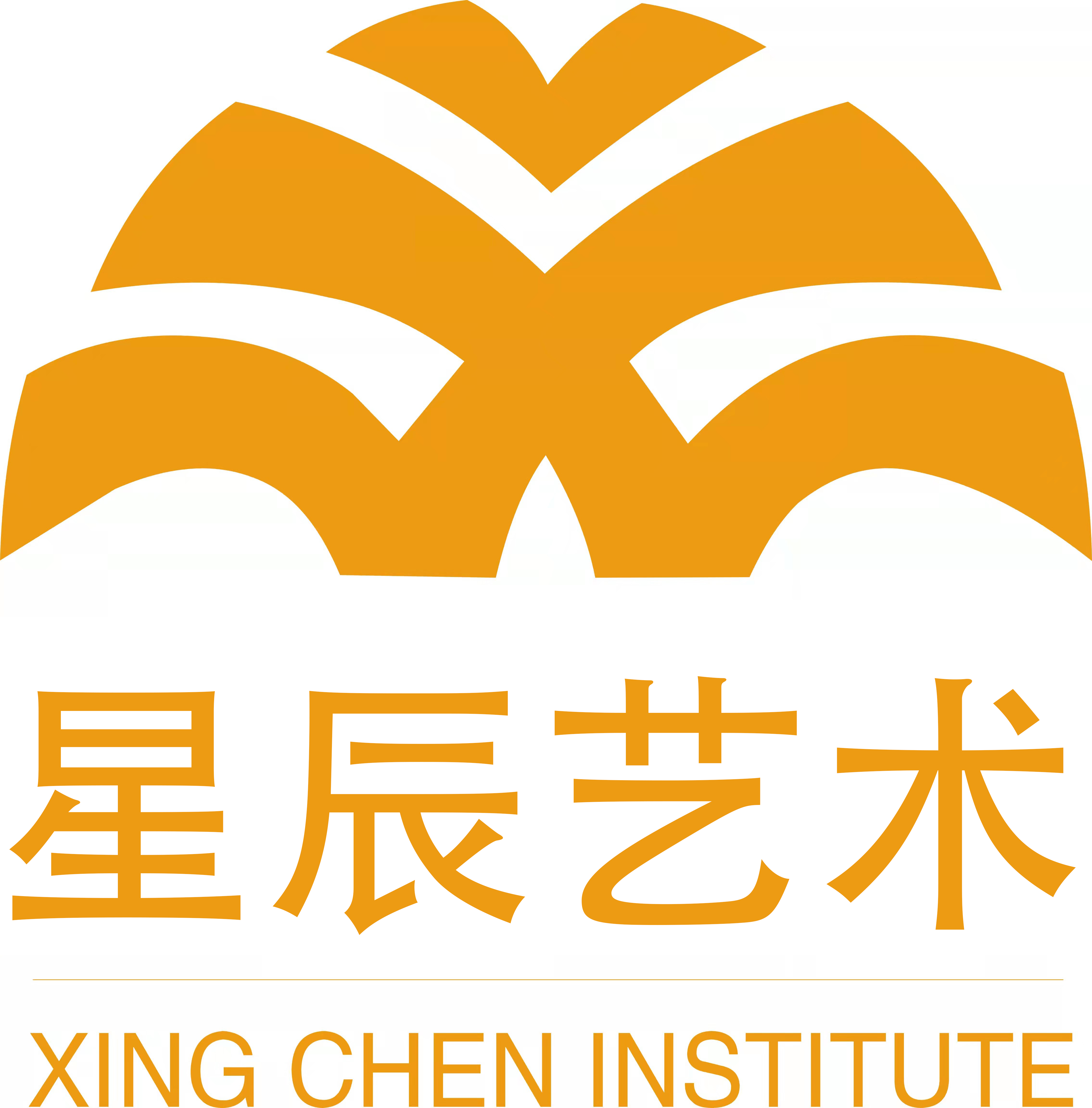曲靖市沾益区星辰艺术培训学校有限公司