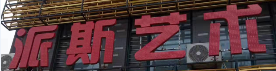 盘锦市大洼区派斯艺