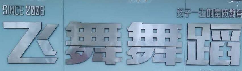 武汉市硚口区飞舞龙腾培训学校有限公司