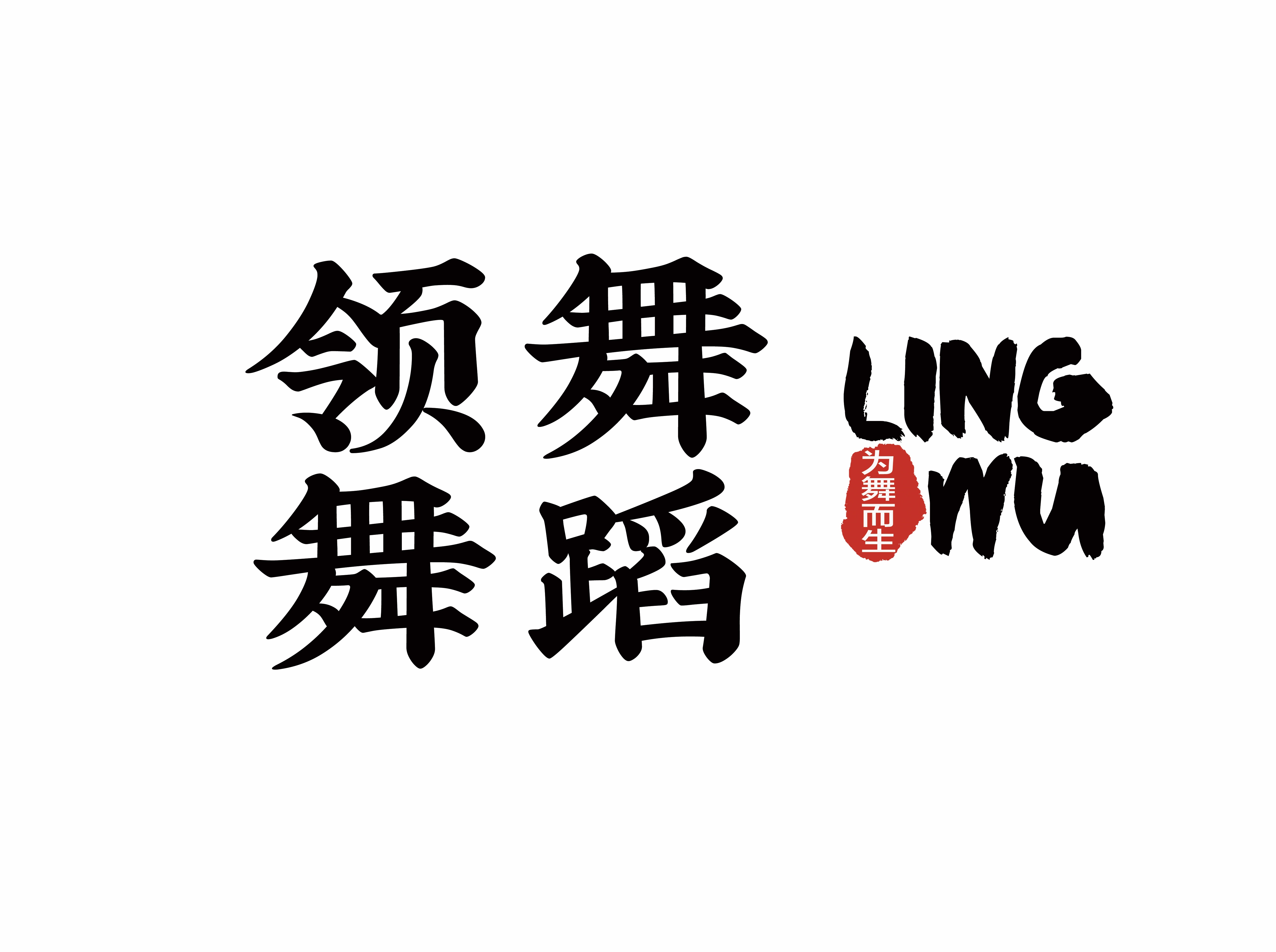 贵港市领舞文化艺术传播有限公司
