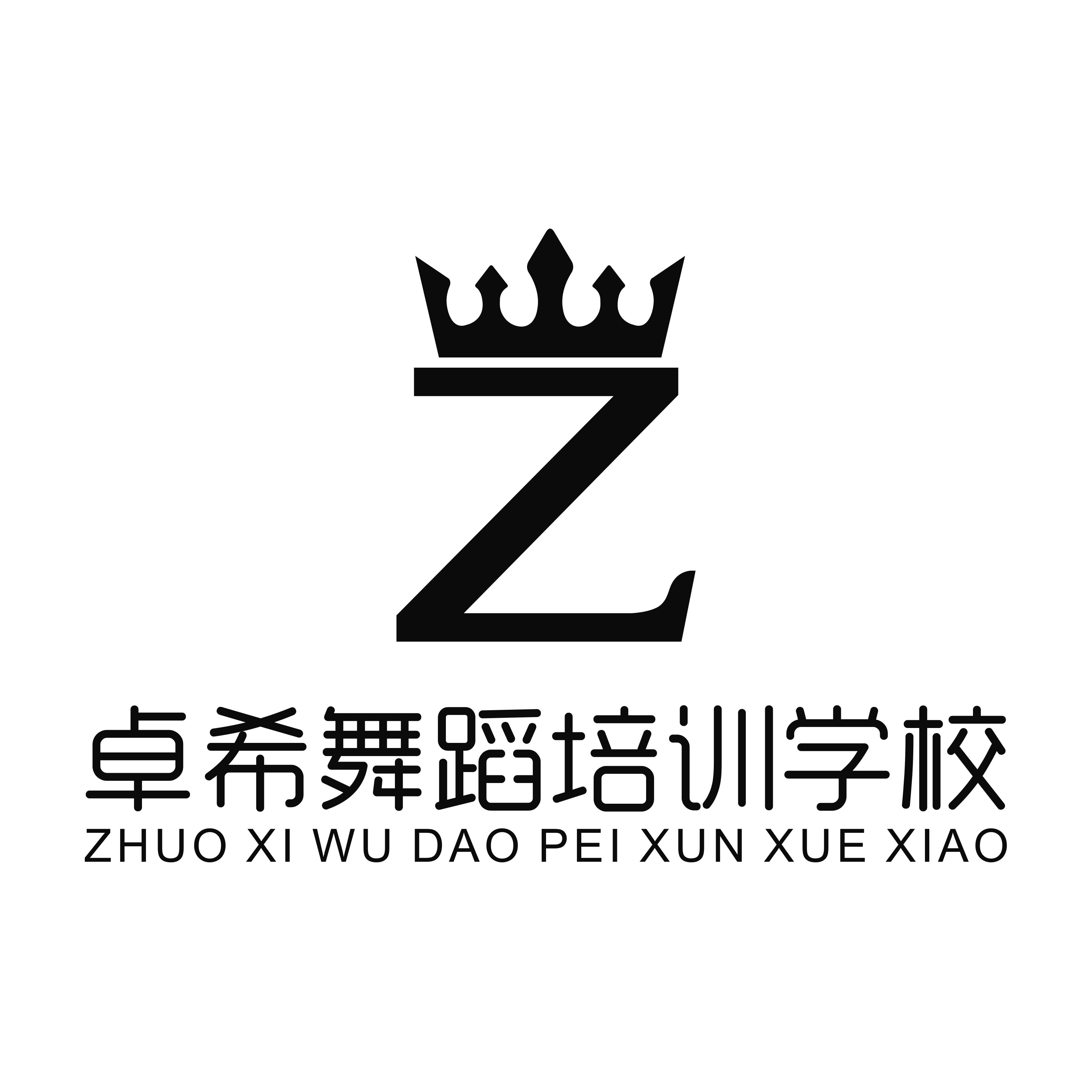 吕梁市离石区卓希舞蹈培训学校有限公司