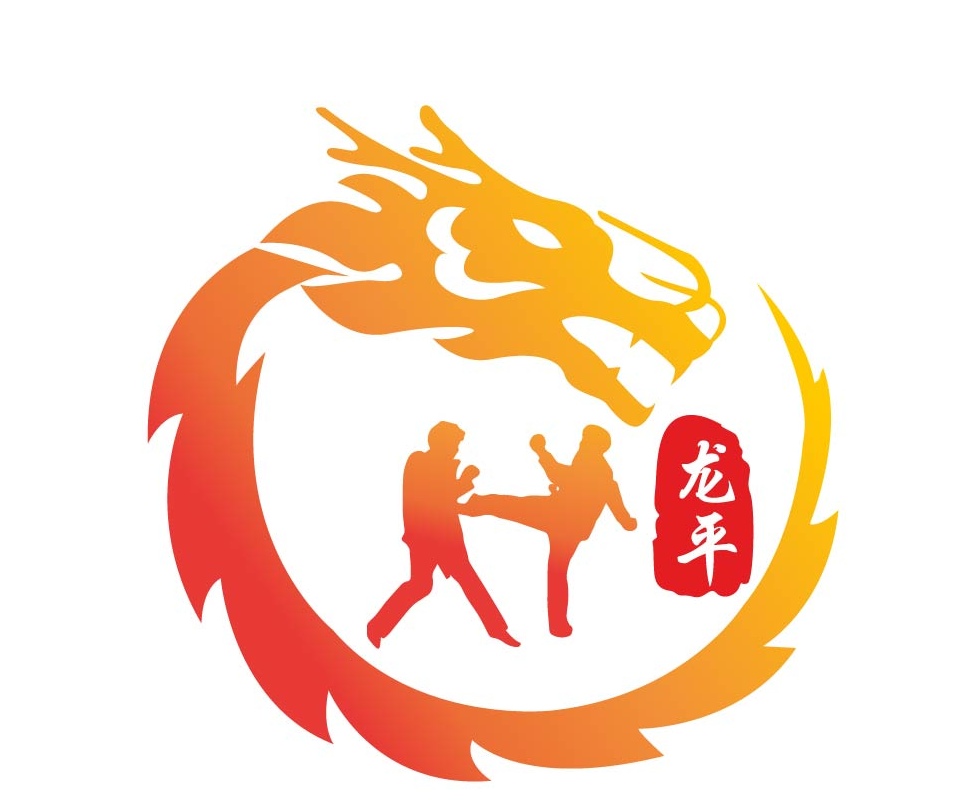 丰城市龙平武术培训