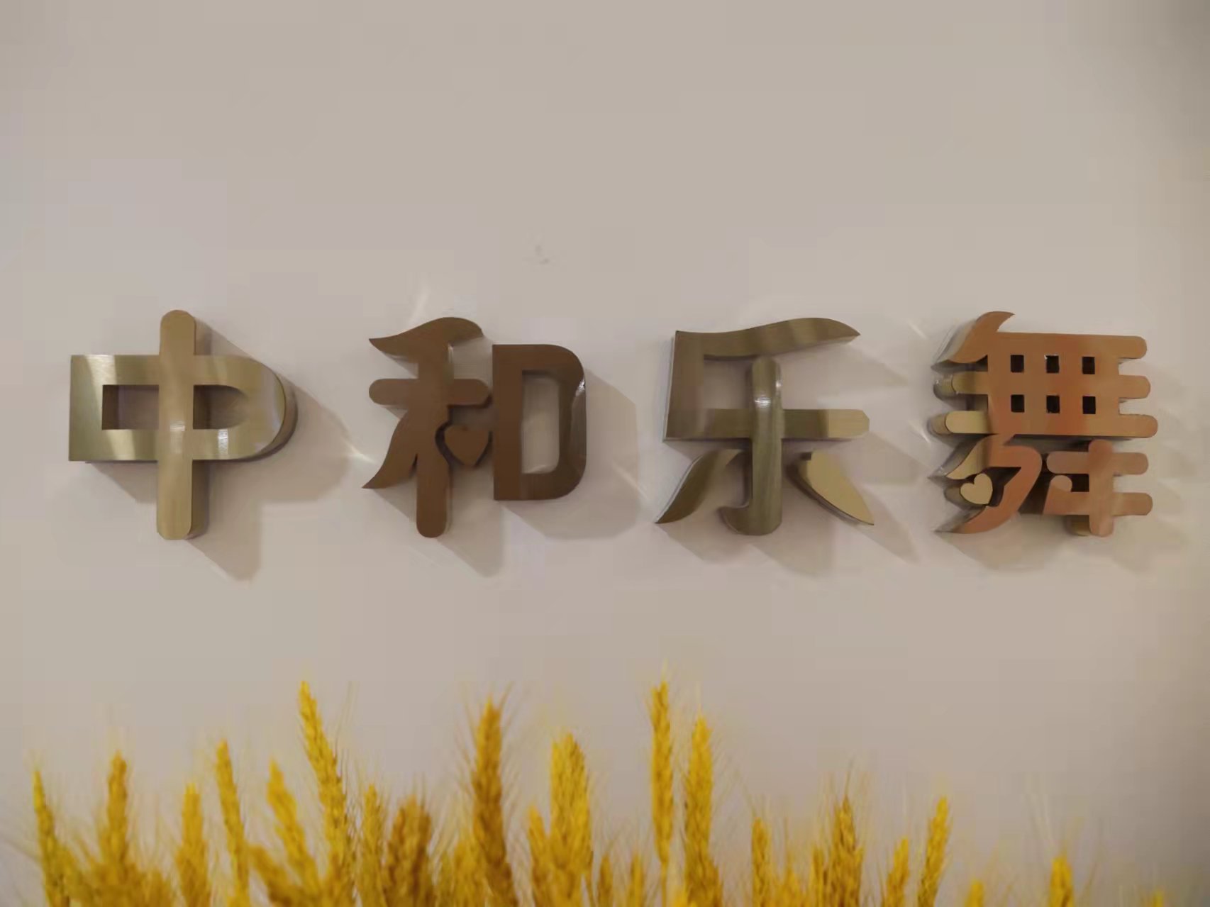 中和乐舞（天津）艺术培训学校有限公司