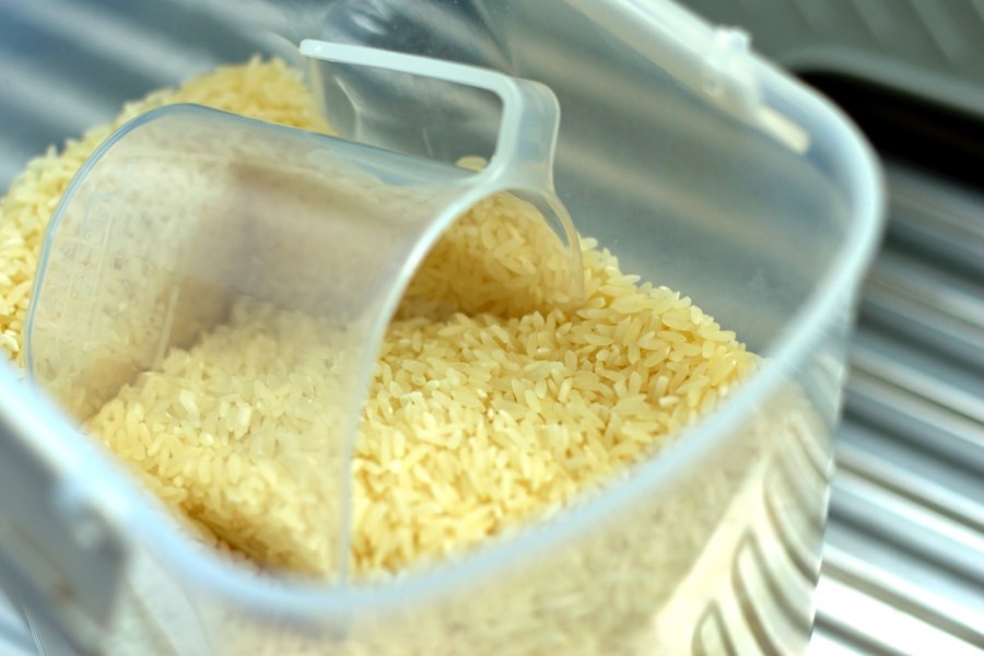 粮食储运与质量安全