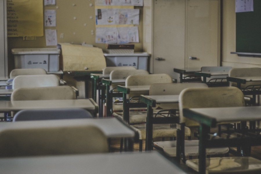 小学语文教育