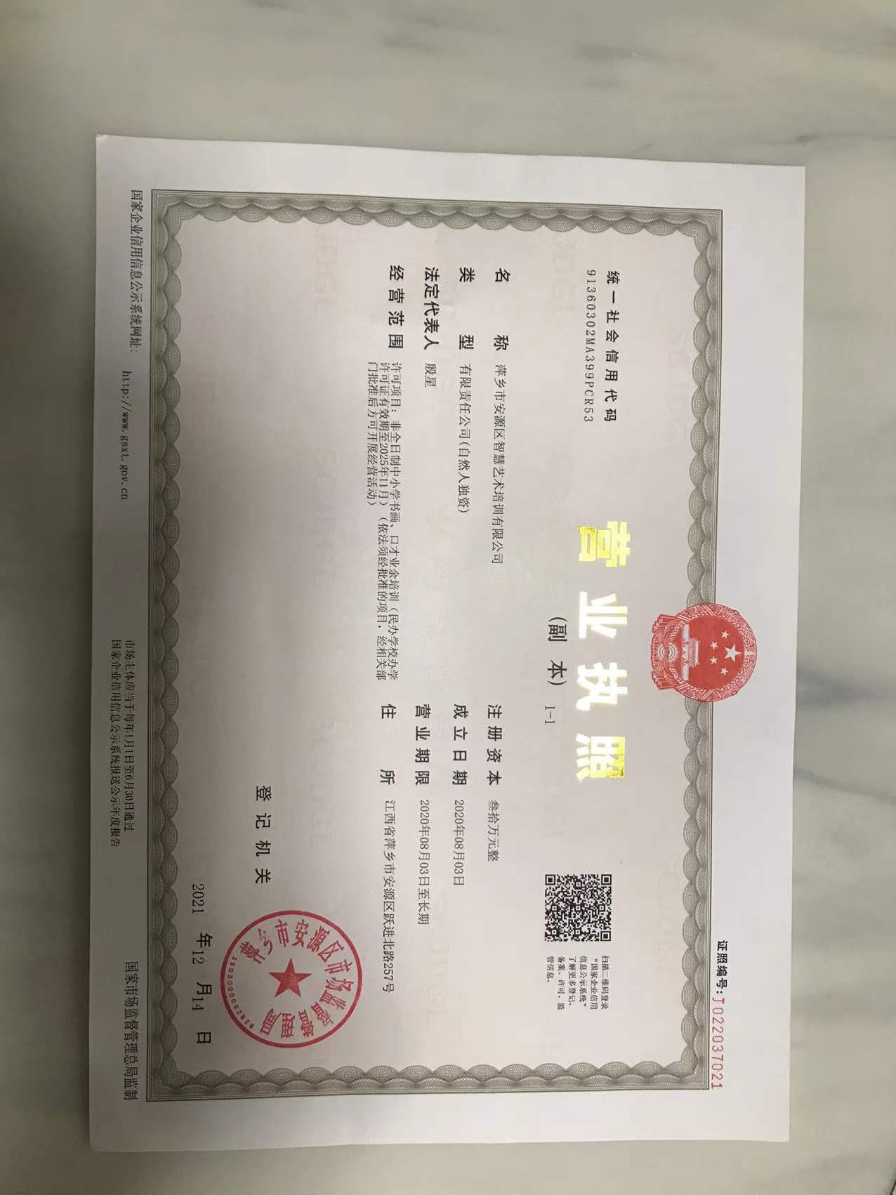萍乡市安源区智慧艺