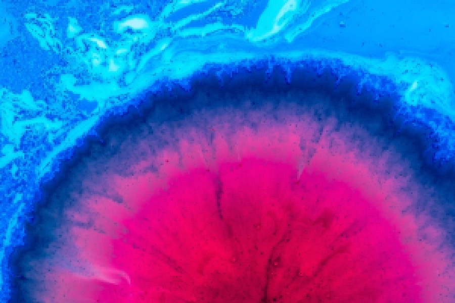 水族科学与技术