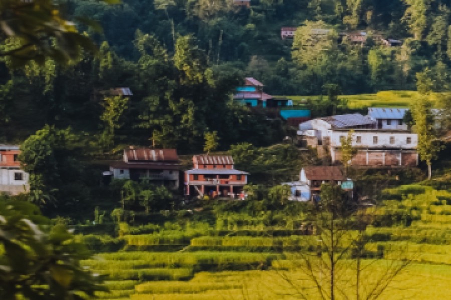 尼泊尔语