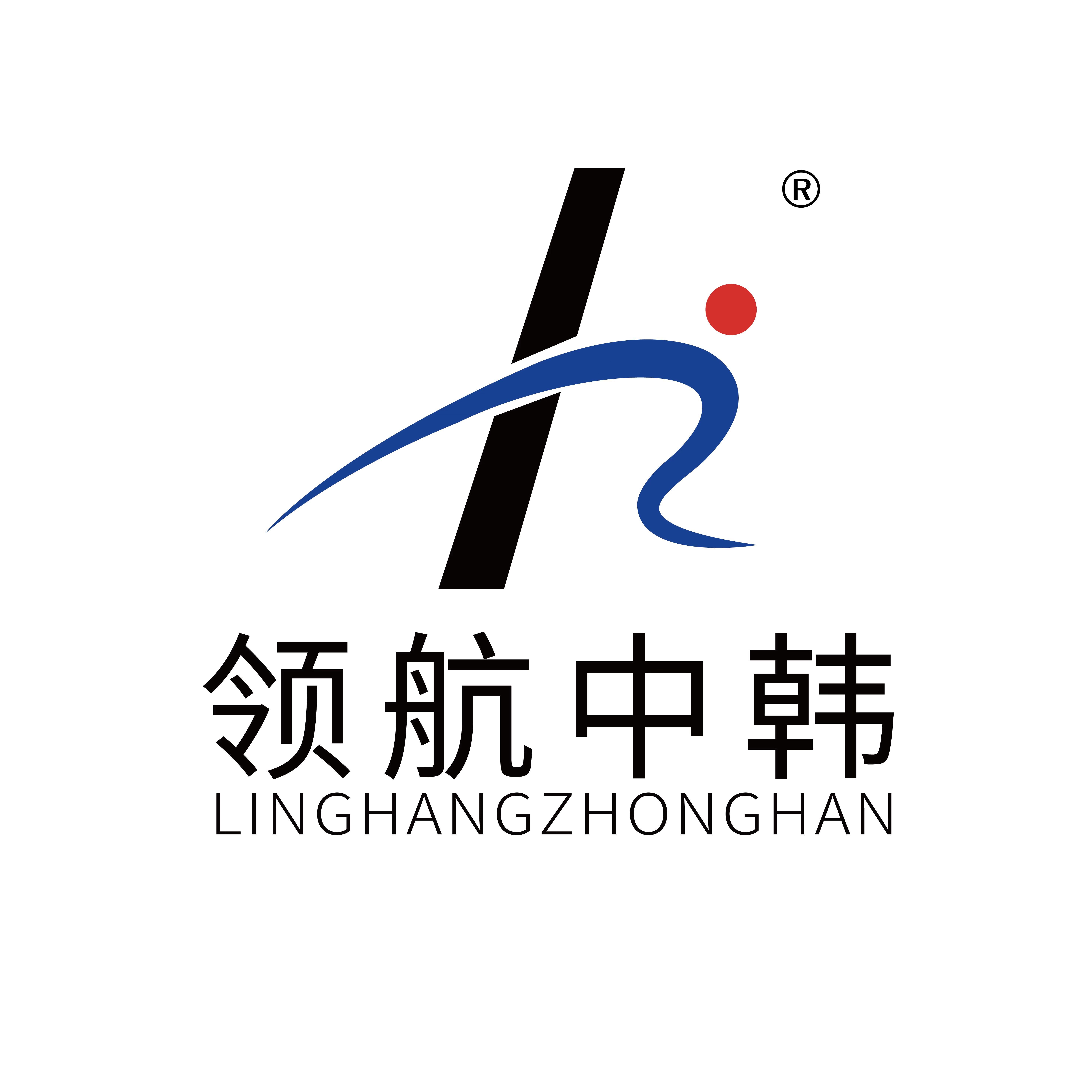 泰安市岱岳区领航体