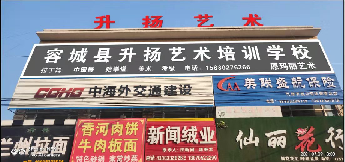 容城县升扬艺术培训学校有限公司