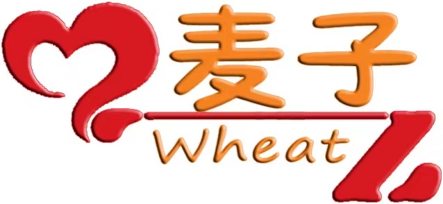 景东麦子艺术培训学校有限公司