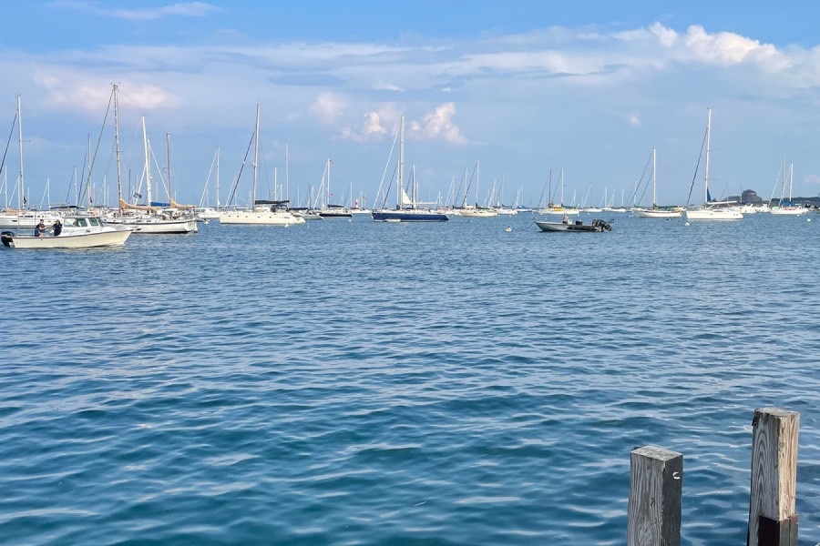 海事管理