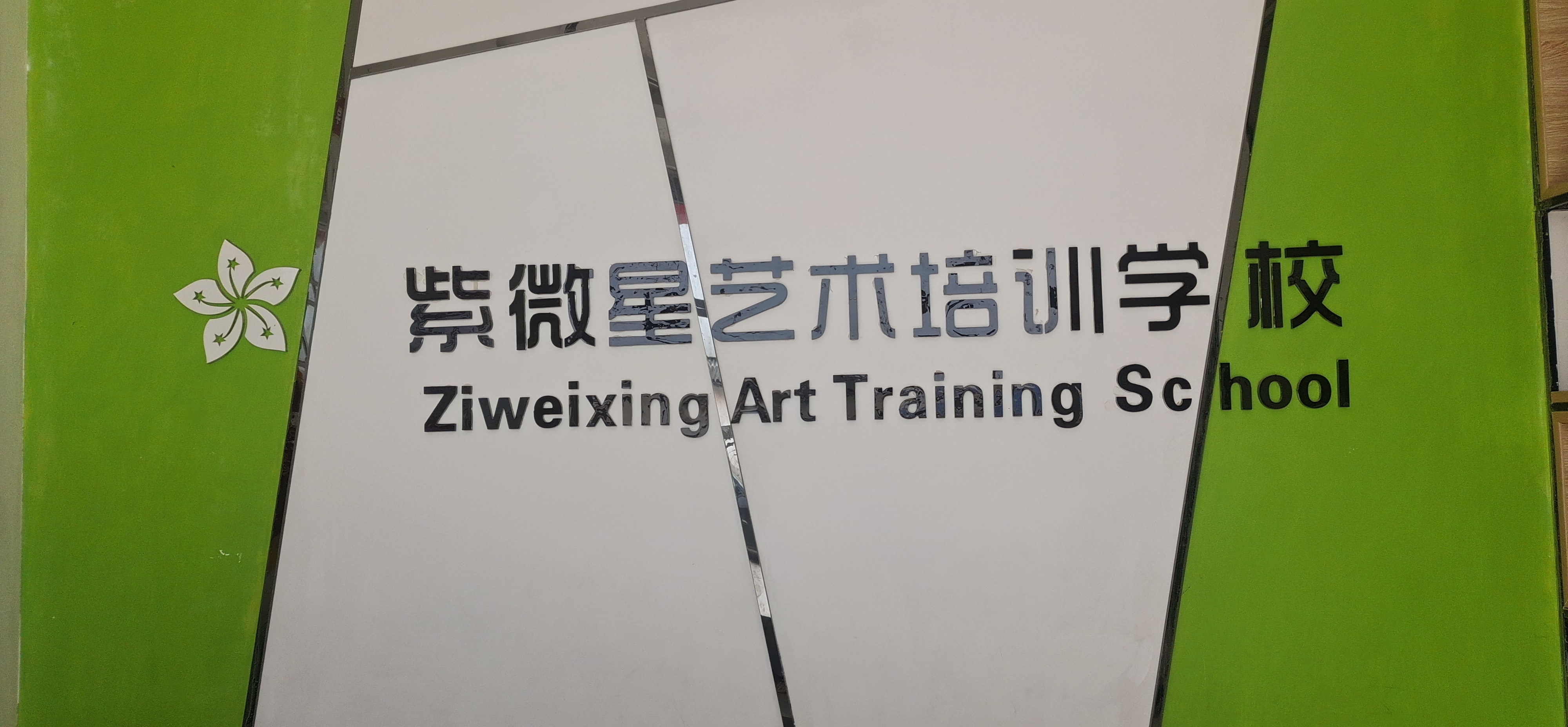 渭南市临渭区紫微星艺术培训学校有限责任公司