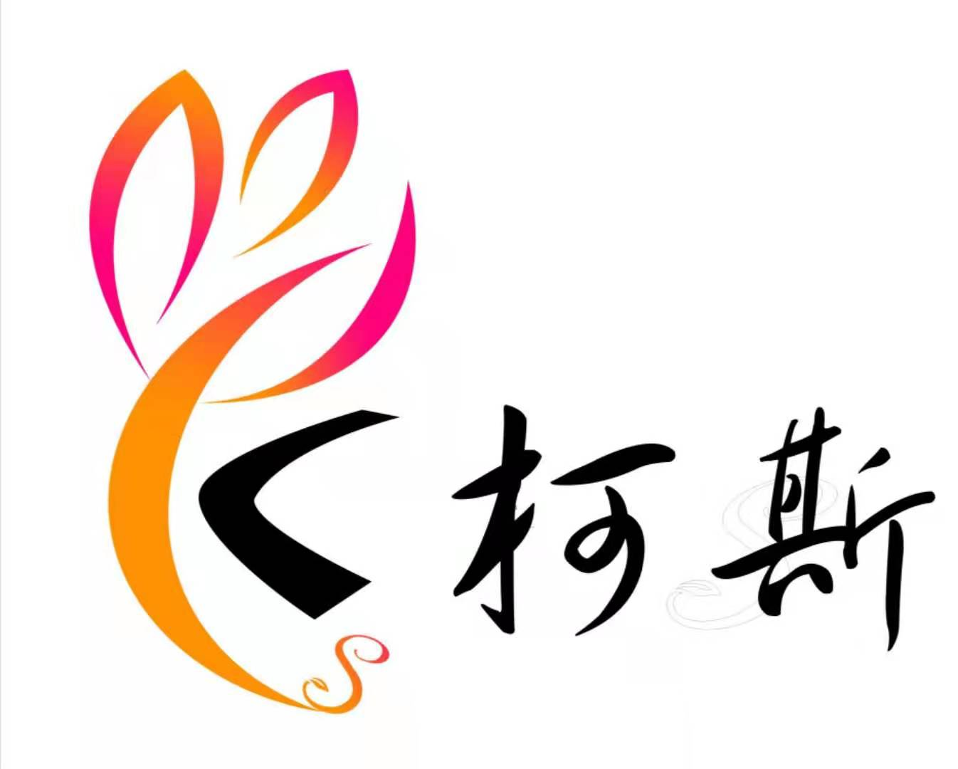 民乐县柯斯艺术培训有限公司