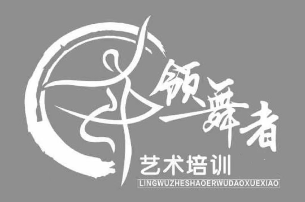 临夏市领舞者艺术培训有限公司