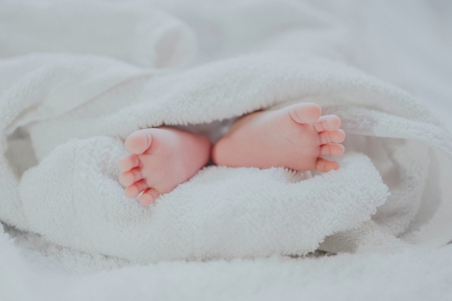 婴幼儿托育服务与管理
