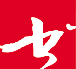 泰安市岱岳区袁强书