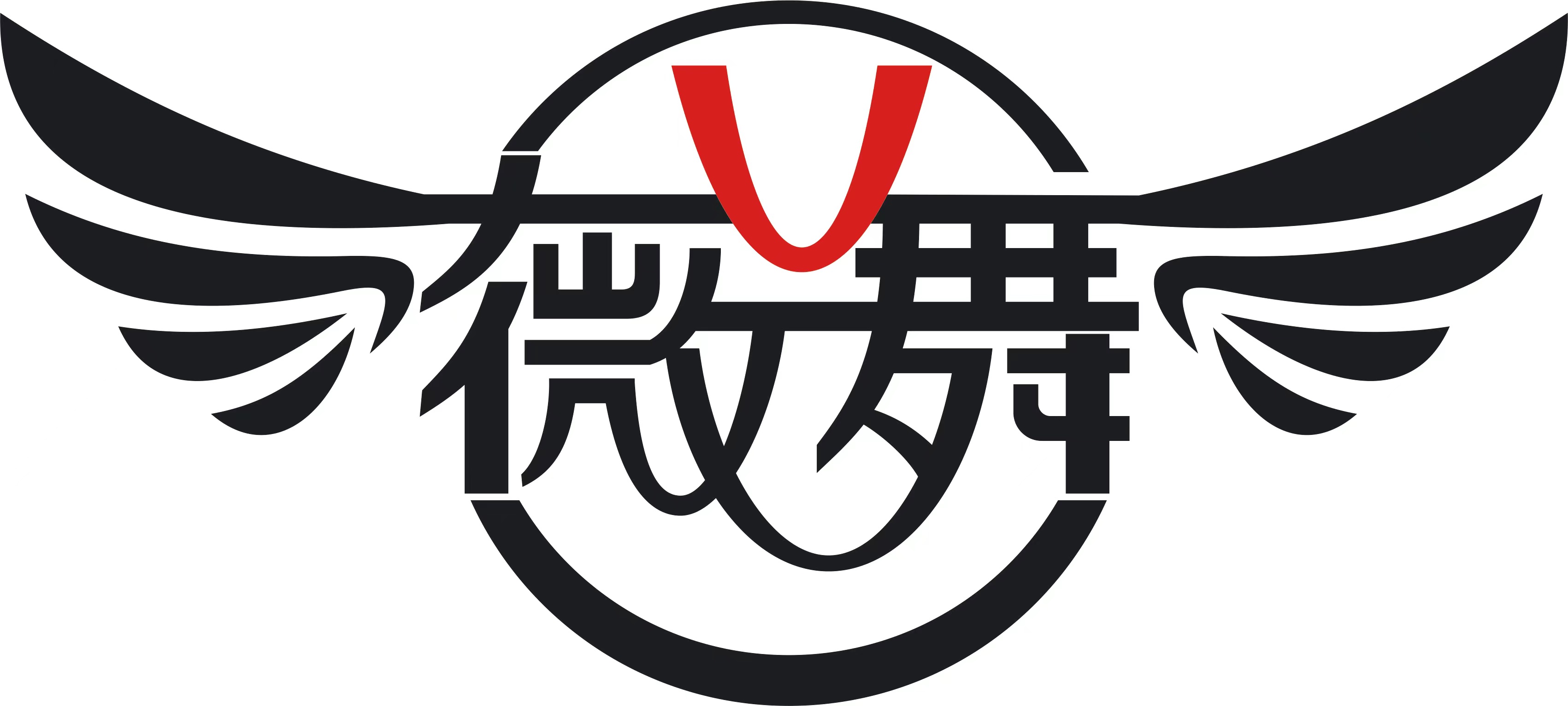 汉阴县薇舞舞蹈培训中心有限公司