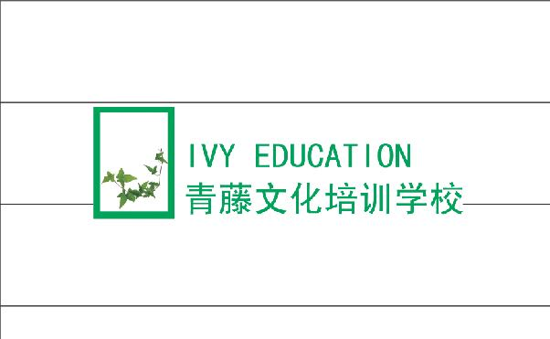 娄底市娄星区青藤文化培训学校有限公司