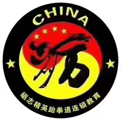 泸西砺志精英跆拳道