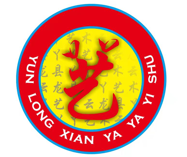 云龙县丫丫艺术培训