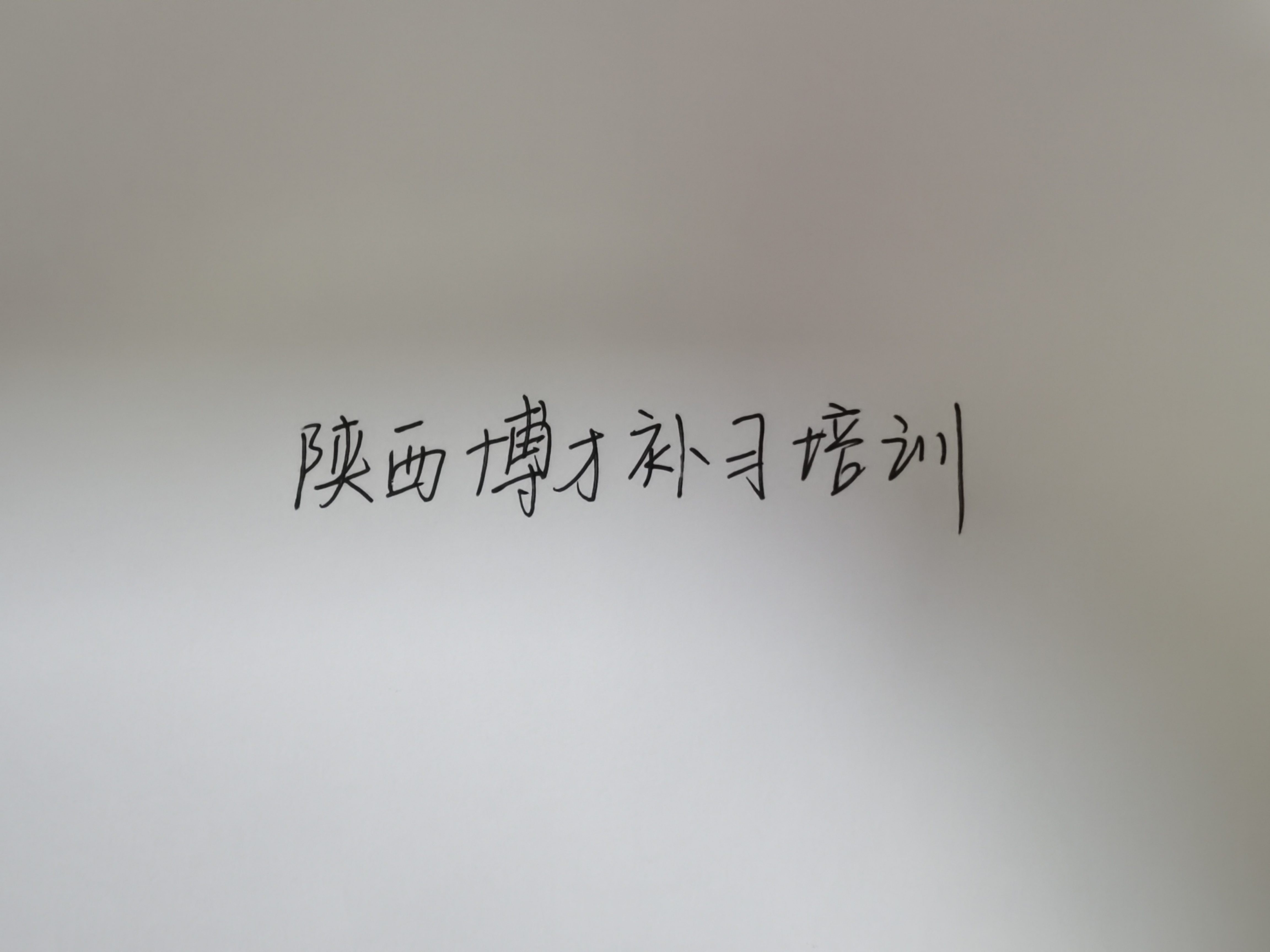 陕西博才补习培训学校有限责任公司